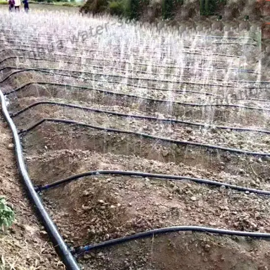 Tuyau d'eau de jardin personnalisé, tuyau d'arrosage à 5 trous